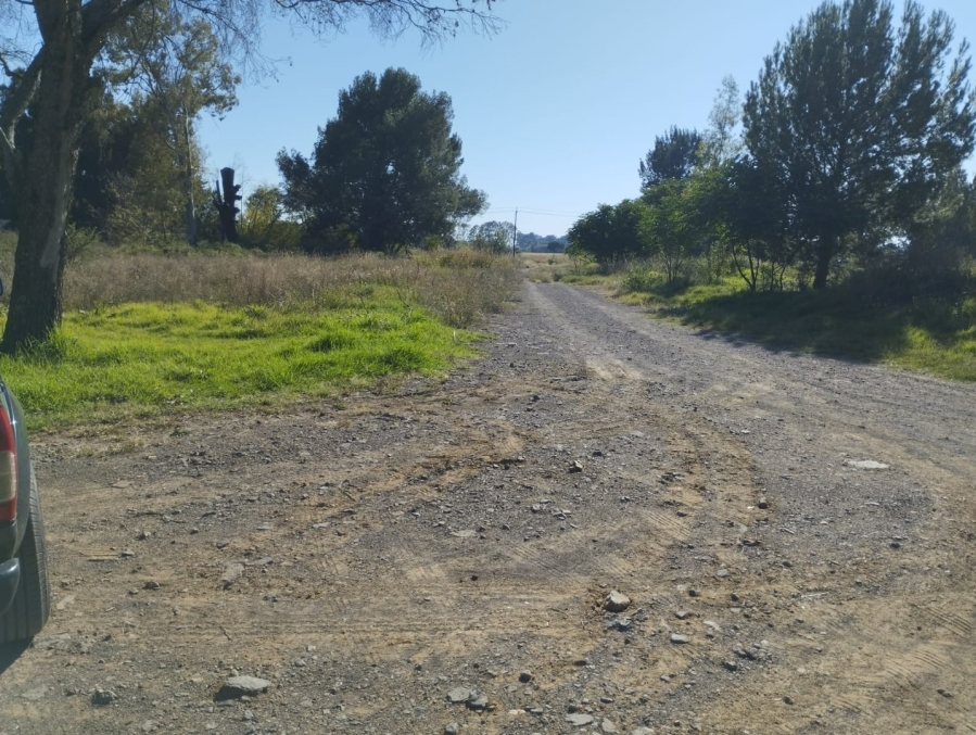 Commercial Property for Sale in Estoire Free State